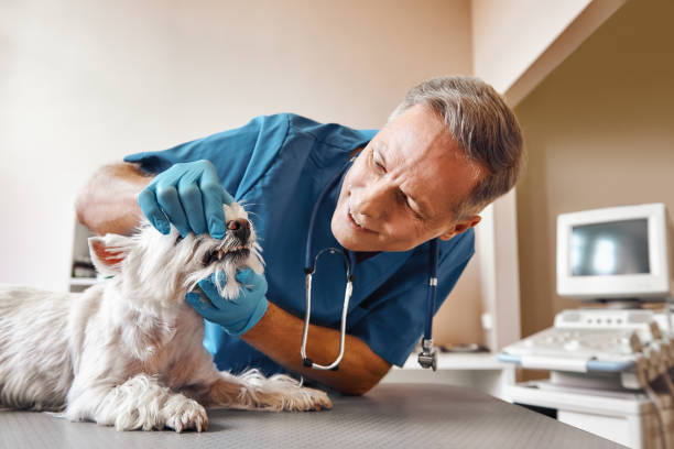 Best Emergency Tooth Extraction in Mayfield, KY